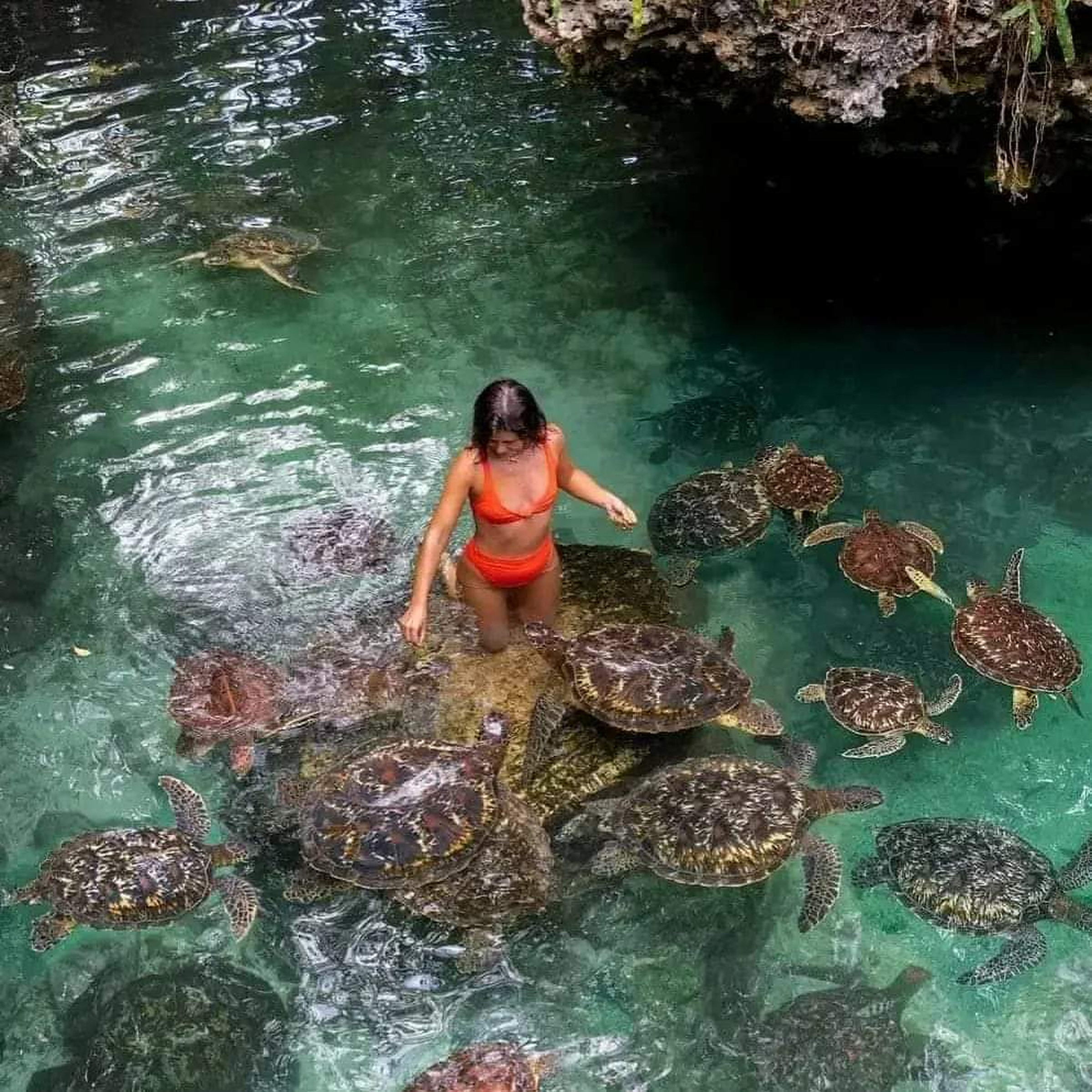Zanzibar tour moment 1