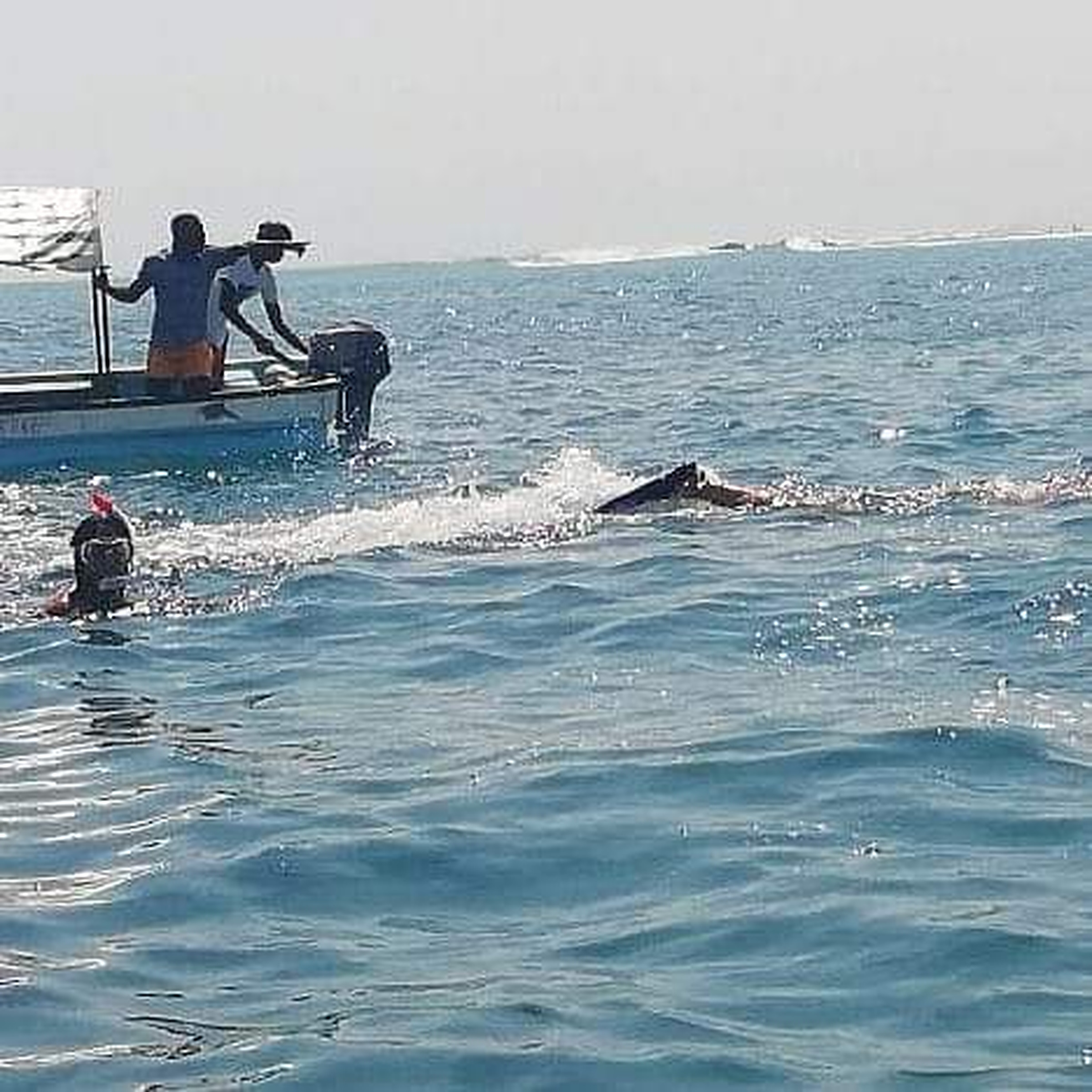 Kizimkazi Dolphin & Snorkeling