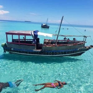 Private Wasini Dolphin Tours