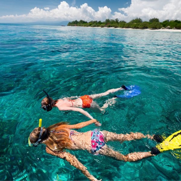 Snorkeling Trips