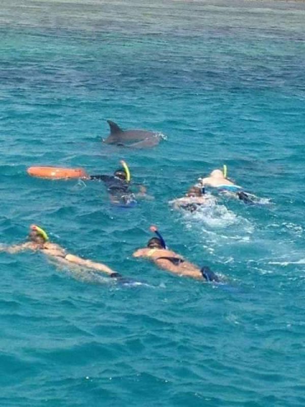 3 DAYS 2 NIGHTS SAFARI ( ZANZIBAR TO MIKUMI NATIONAL PARK)