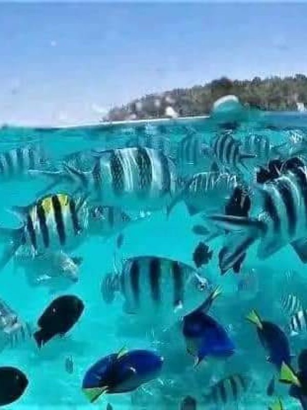 06 DAYS ZANZIBAR ISLAND EXCIRSION PACKAGE