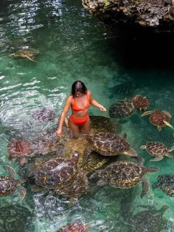 05 DAYS ZANZIBAR ISLAND EXCURSION PACKAGES